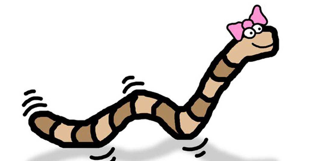 Wiggle Worm Photo by Clipart Library
